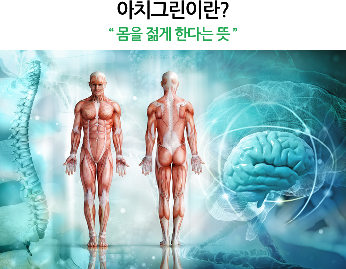 아치그린이란?