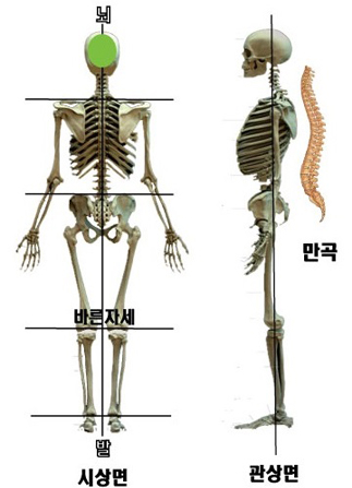 관상선