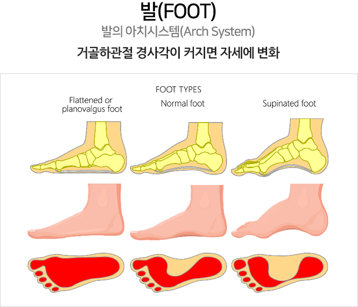 풋타입