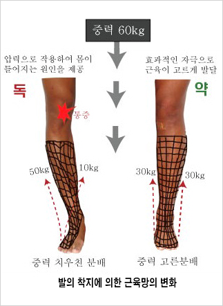중력분배
